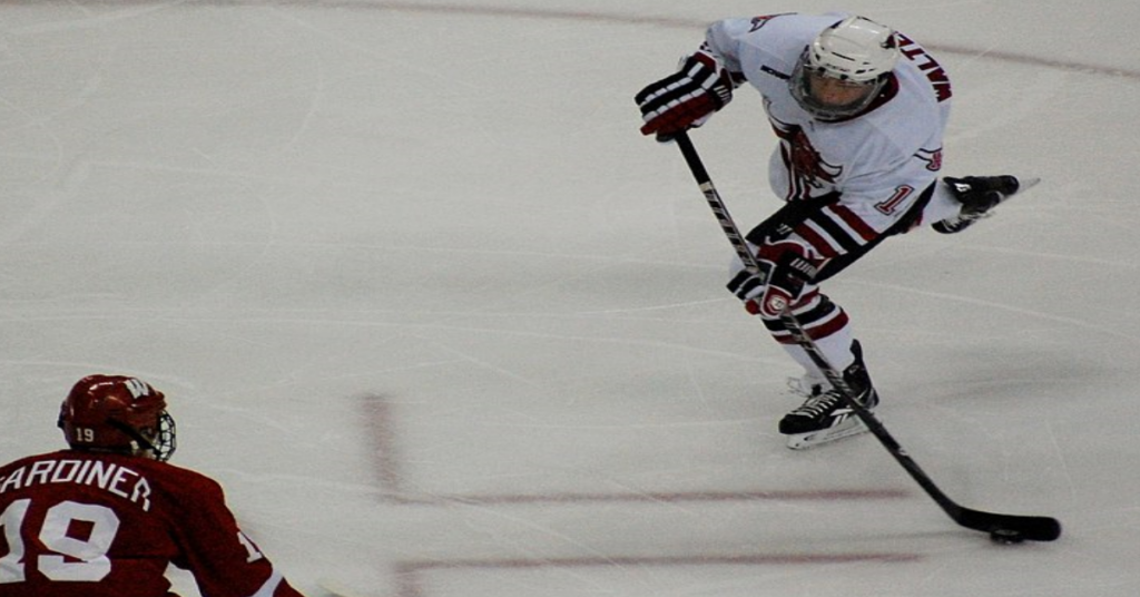 Hockey’s Basic Shots