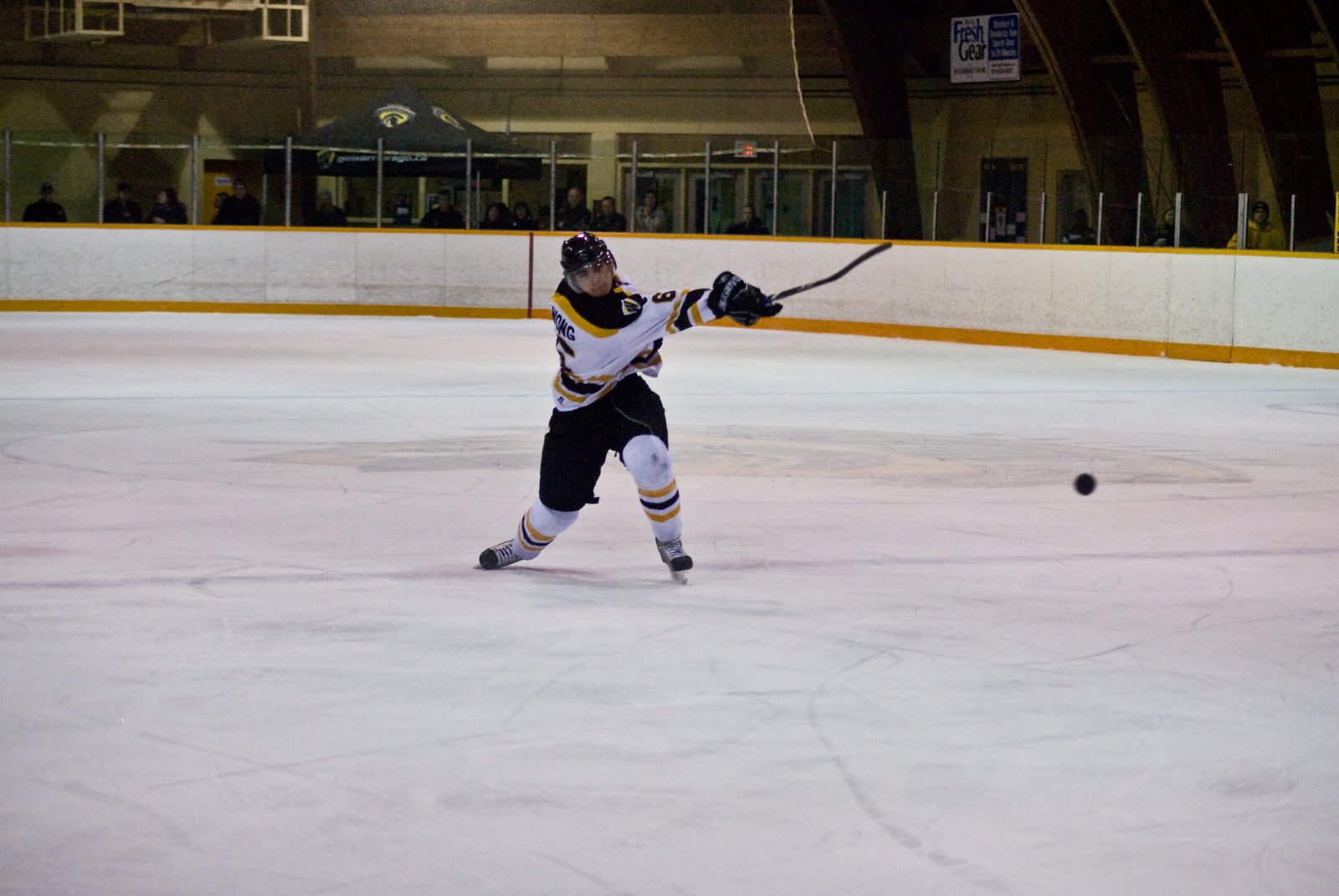 Slapshot Visualization