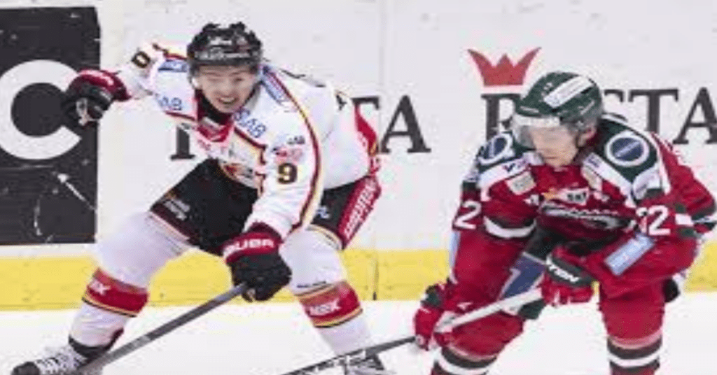 A Hockey Defenseman’s Decision-making