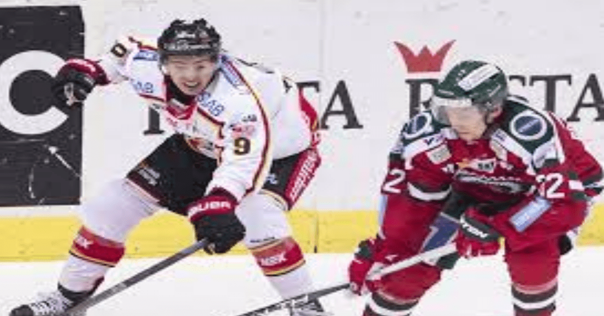 A Hockey Defenseman’s Decision-making