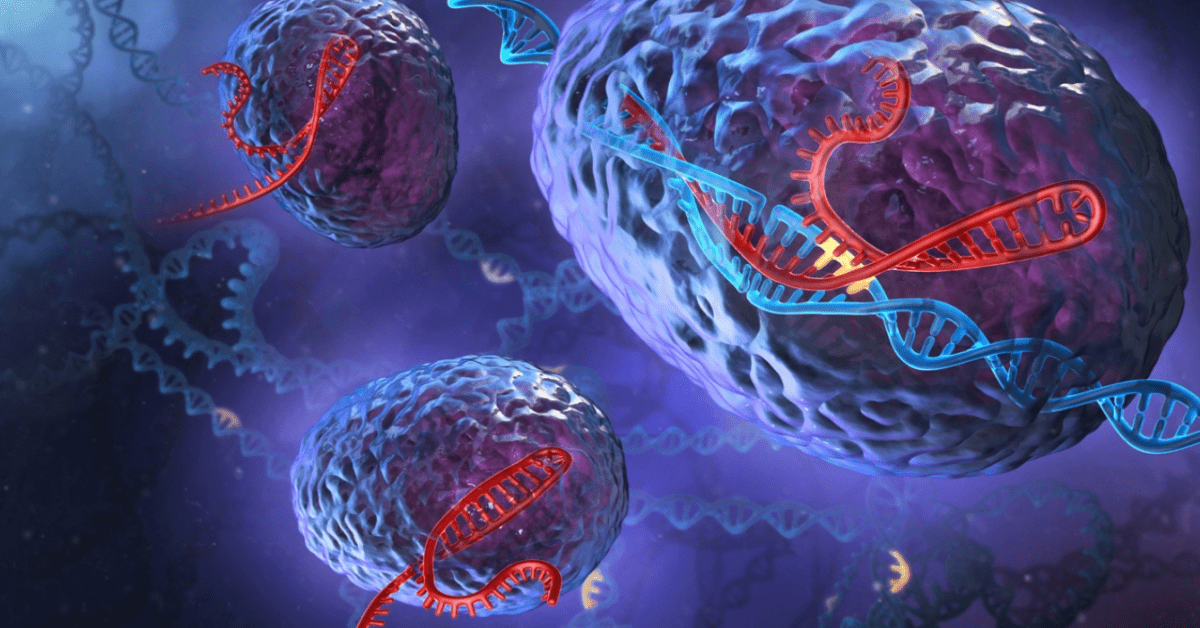 So You Think Your Genes Determine Your Fate In Sports? – Part 2