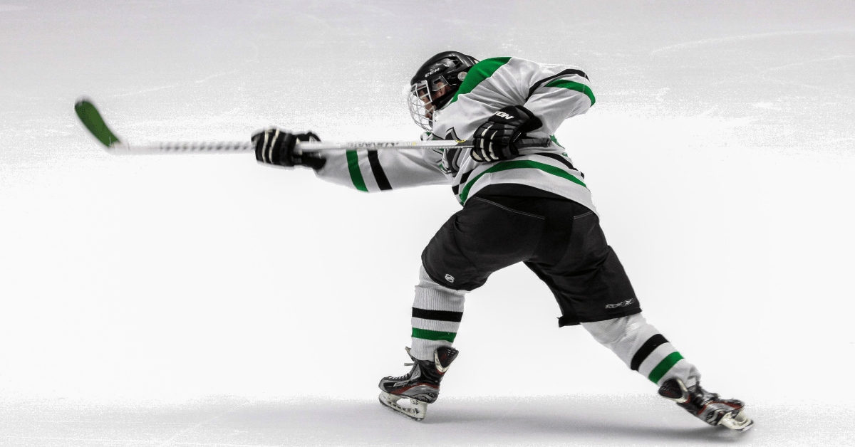 Up-down Hockey StickWags