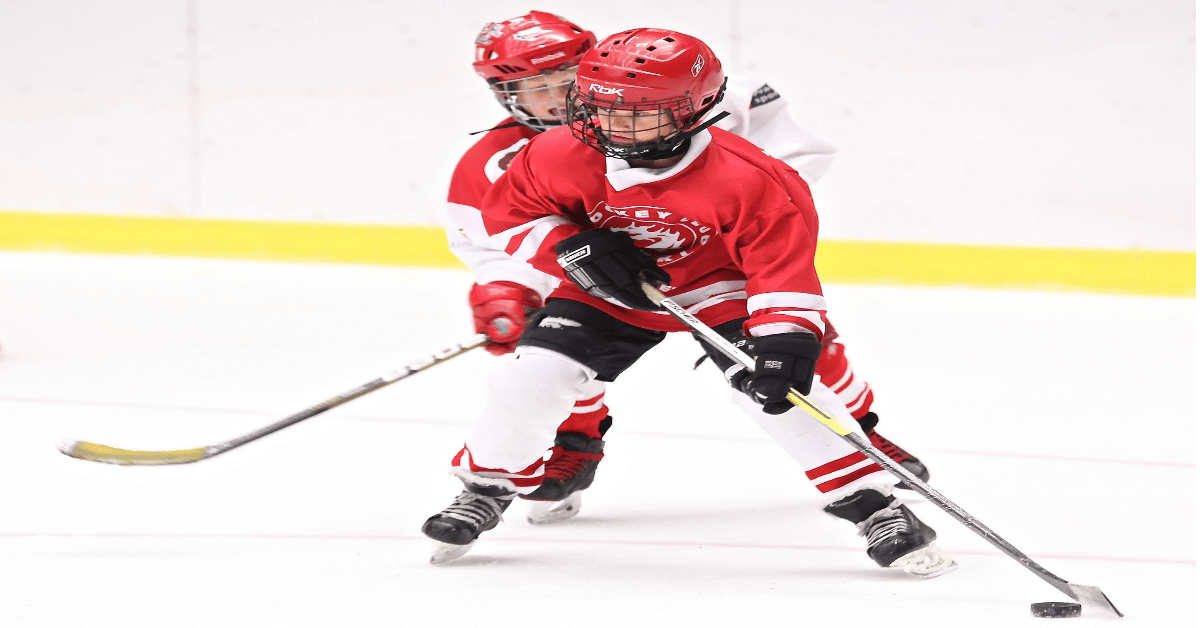 Checking – The Physical Side of Hockey