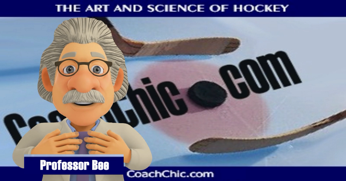 Welcome to Professor Bee