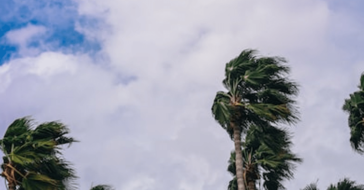 Hurricane Alert
